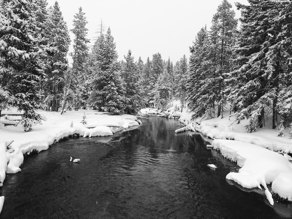 Yellowstone in Winter