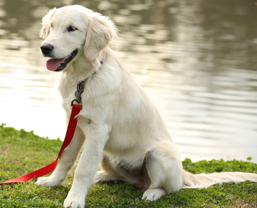 Louisa at the park on her six-month birthday. Photo by Jordan Bannock.