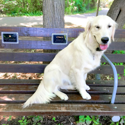 Louisa at the park.